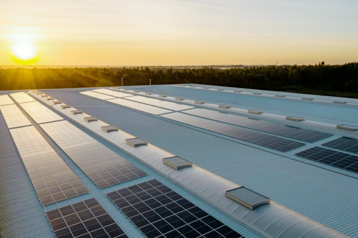 Solar Panels for Residential and Commercial Energy Systems Monocrystalline and bifacial solar panels for residential and commercial power systems