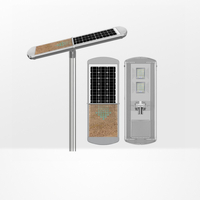 Self Cleaning All in One Solar Street Light