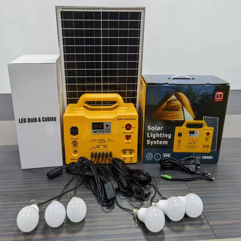 12 Volt Home Solar Lighting System 20W