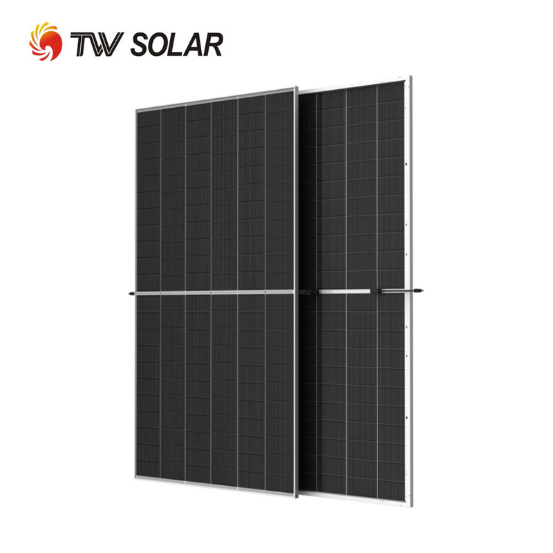 Tongwei TW Solar 700W Monocrystalline Bifacial Solar Module Price