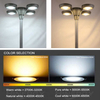 Solar Post Lights Outdoor with Multi Lamp Head for A Pole