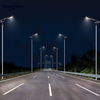 Outdoor Bifacial Panel Powered Rechargeable Motion Sensor All in One Solar Street Light Price