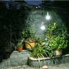 Solar Power Home Lighting System with Radio MP3 Music Player